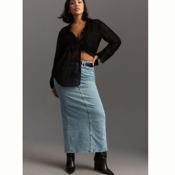 NWT Anthropologie Pilcro Velvet Burnout Long Sleeve Buttondown Blouse 2X - Picture 6 of 13